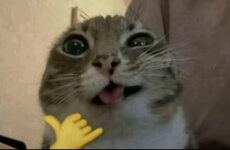 IMG_3879.jpeg